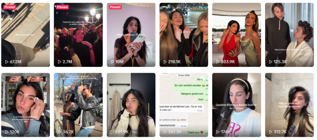 overzicht TikTok videos Anna Nooshin