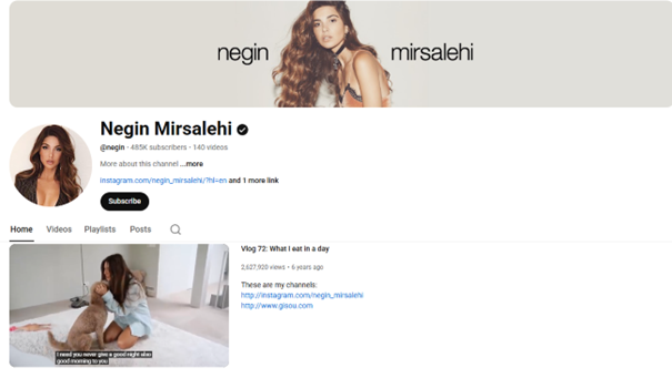 YouTube kanaal Negin Mirsalehi video overzicht